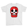 switzerland till i die Youth Tee