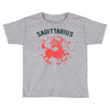 sagittarius zodiac Toddler T-shirt