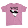 5 Percent Unicorn 95 Percent Ninja Youth Tee