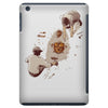 discovery iPad Mini