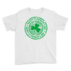 happy saint patrick day Youth Tee