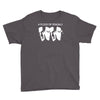 steven seagal flock of seagals seagulls Youth Tee