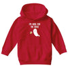 Im Here For The Booz Youth Hoodie