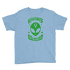 destroy the patriarchy Youth Tee
