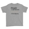 muggle in the streets, wizard in the sheets Youth Tee