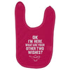 other two wishes Baby Bibs