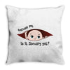 Excuse Me is it January yet? Baby Boy Throw Pillow