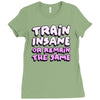 train insane or remain the same Ladies Fitted T-Shirt
