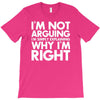 i'm not arguing i'm simply explaining why i'm right T-Shirt