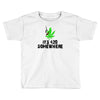 its 420 somewhere Toddler T-shirt