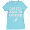 pet lover girls im one leads to another Ladies Fitted T-Shirt