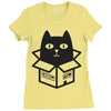 cats love boxes Ladies Fitted T-Shirt