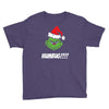 humbug grinch christmas Youth Tee