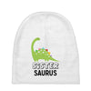 Sister Saurus Baby Beanies