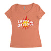 captain obvious Women's Triblend Scoop T-shirt