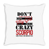 don't flirt with me i love may girl she is a crazy scorpio she will mu Throw Pillow