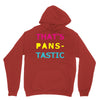 pansexual pride Unisex Hoodie