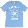breaking bad   big bang theory   science T-Shirt