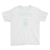 irish beathalyzer Youth Tee
