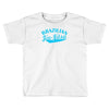 brazilian jiu jitsu  mma boxen fight Toddler T-shirt