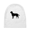 dog Baby Beanies