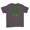 i'm here because i was told there would be reindeer Youth Tee