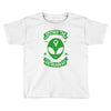 destroy the patriarchy Toddler T-shirt