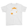 i teach the cutest pumpkins in the patch Youth Tee