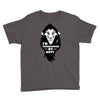 funny lion king Youth Tee