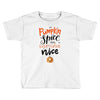 pumpkin spice and everything nice Toddler T-shirt