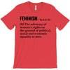 Feminism Noun T-Shirt