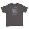 too zuul for school Youth Tee