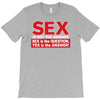 funny rude sex is not the answer, ideal birthday gift or present T-Shirt