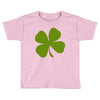 irish (2) Toddler T-shirt
