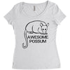 awesome Women's Triblend Scoop T-shirt