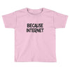 because internet girls Toddler T-shirt