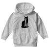 barad purr Youth Hoodie