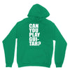 can you play guitar can you fuck Hoodie