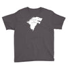 winter is coming Youth Tee