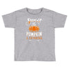 sweet as pumpkin pi Toddler T-shirt