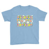 apples and pears Youth Tee