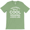 this is what a cool grandma looks like T-Shirt