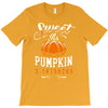 sweet as pumpkin pi T-Shirt