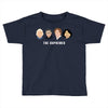 The Supremes Toddler T-shirt