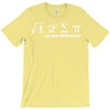 pi delicious math T-Shirt