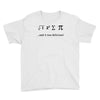 i ate sum pi t shirt s m l xl 2xl 3xl funny nerdy geeky college awesom Youth Tee