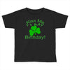 kiss me i't my birthday pi Toddler T-shirt