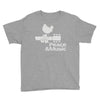 peace and music Youth Tee