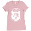 i only have one cat my cat has a few cat Ladies Fitted T-Shirt