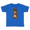 pirate bear Toddler T-shirt
